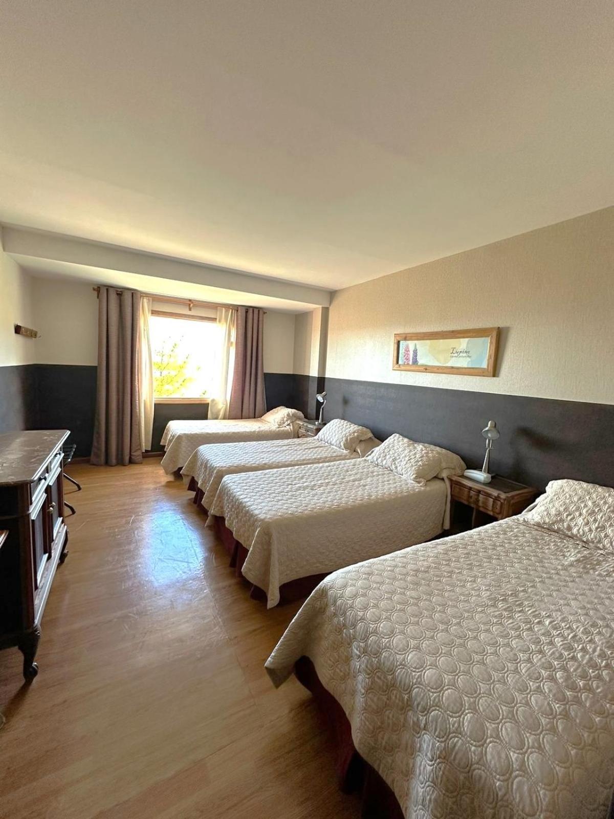 Meulen Hosteria Y Apart El Calafate Oda fotoğraf